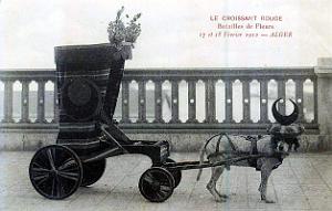 ALGER - BATAILLE DE FLEURS - CROISSANT ROUGE - FEVRIER 1912